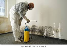 Reliable Barton Creek, TX Mold Removal Services Solutions